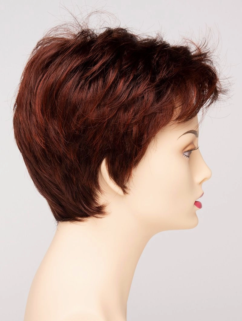 Accessories_Envy_Wigs Raven Envy Wigs
