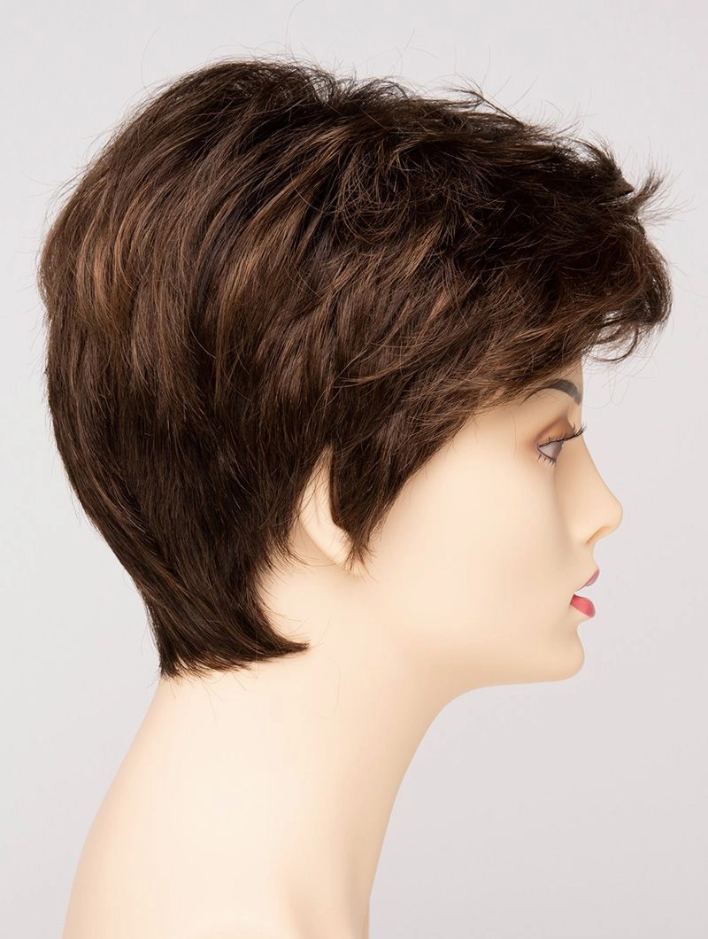 Accessories_Envy_Wigs Raven Envy Wigs