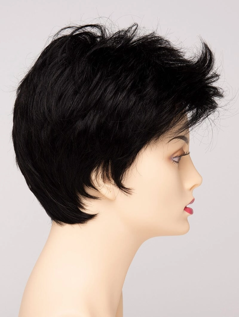 Accessories_Envy_Wigs Raven Lace Front Wig by Envy