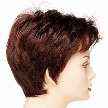 Accessories_Envy_Wigs Raven