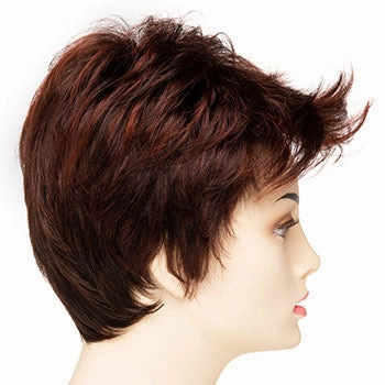 Accessories_Envy_Wigs Raven