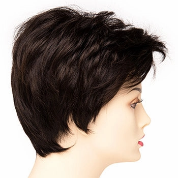 Accessories_Envy_Wigs Raven