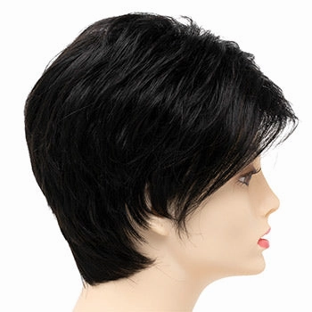 Accessories_Envy_Wigs Shari