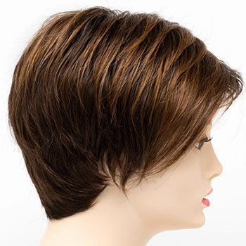 Accessories_Envy_Wigs Shari Large