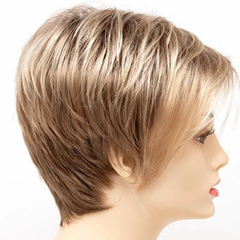 Accessories_Envy_Wigs Shari Large
