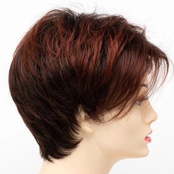 Accessories_Envy_Wigs Shari Large