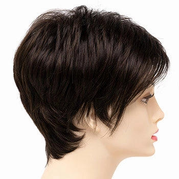 Accessories_Envy_Wigs Shari Large