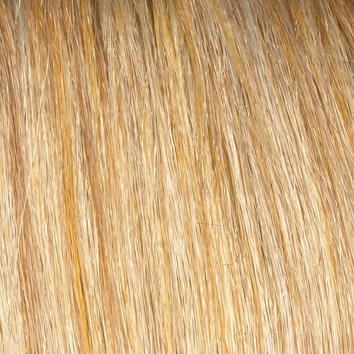 Accessories_Envy_Wigs Sheena Envy Wigs