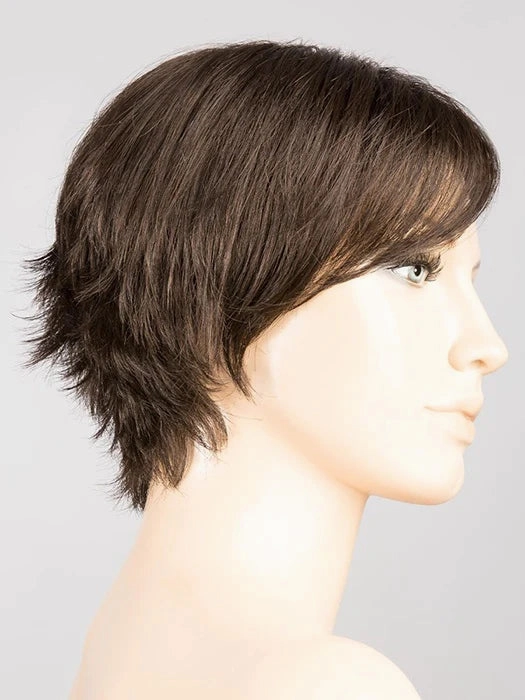 Accessories_Envy_Wigs Sky Wig by Ellen Wille | Synthetic Hair | Petite/Average Cap