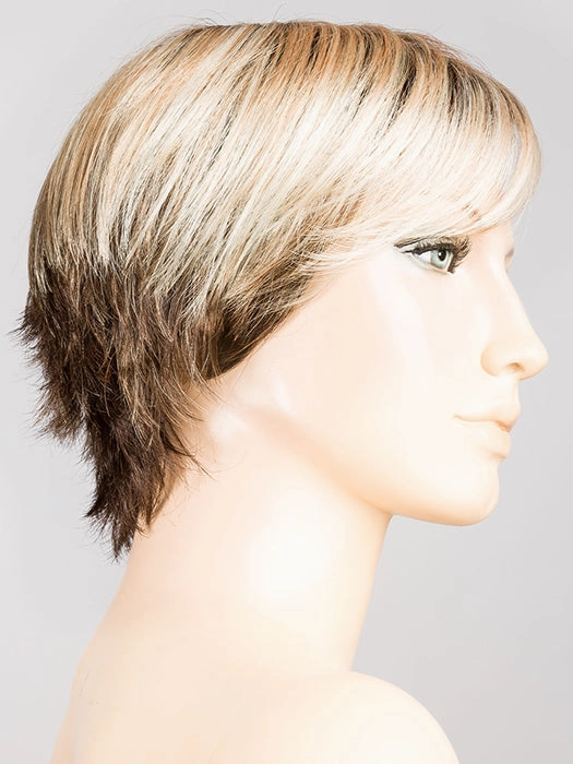 Accessories_Envy_Wigs Sky Wig by Ellen Wille | Synthetic Hair | Petite/Average Cap