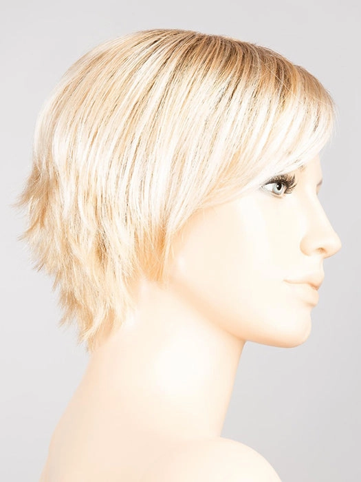 Accessories_Envy_Wigs Sky Wig by Ellen Wille | Synthetic Hair | Petite/Average Cap