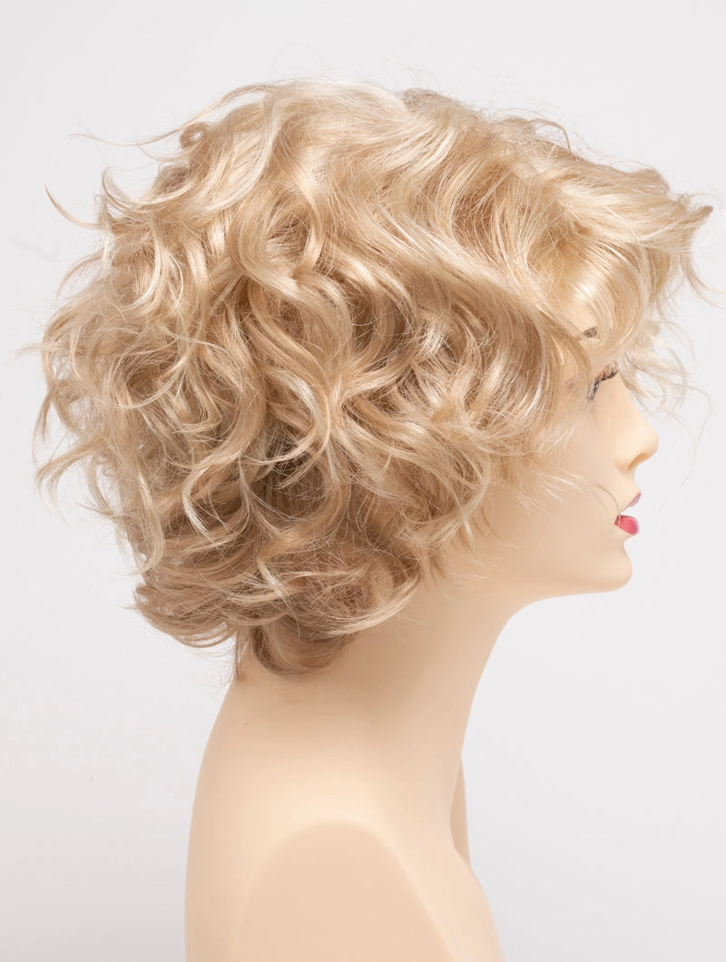 Accessories_Envy_Wigs Suzi Envy Wigs
