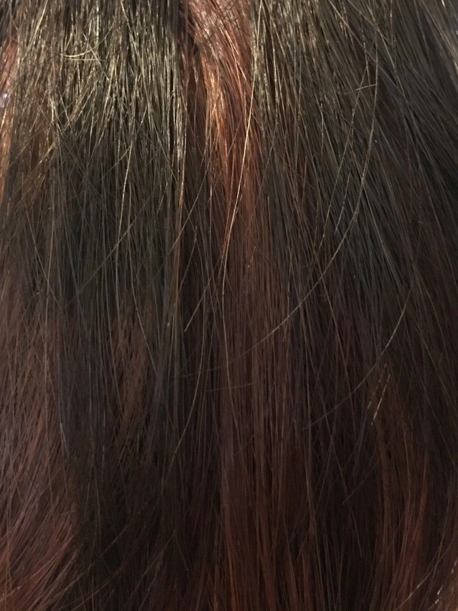 Accessories_Envy_Wigs Taryn Wig by Envy | Human Hair & Heat Friendly Synthetic Blend Fiber