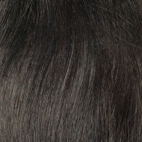 Accessories_Envy_Wigs Tina Envy Wigs