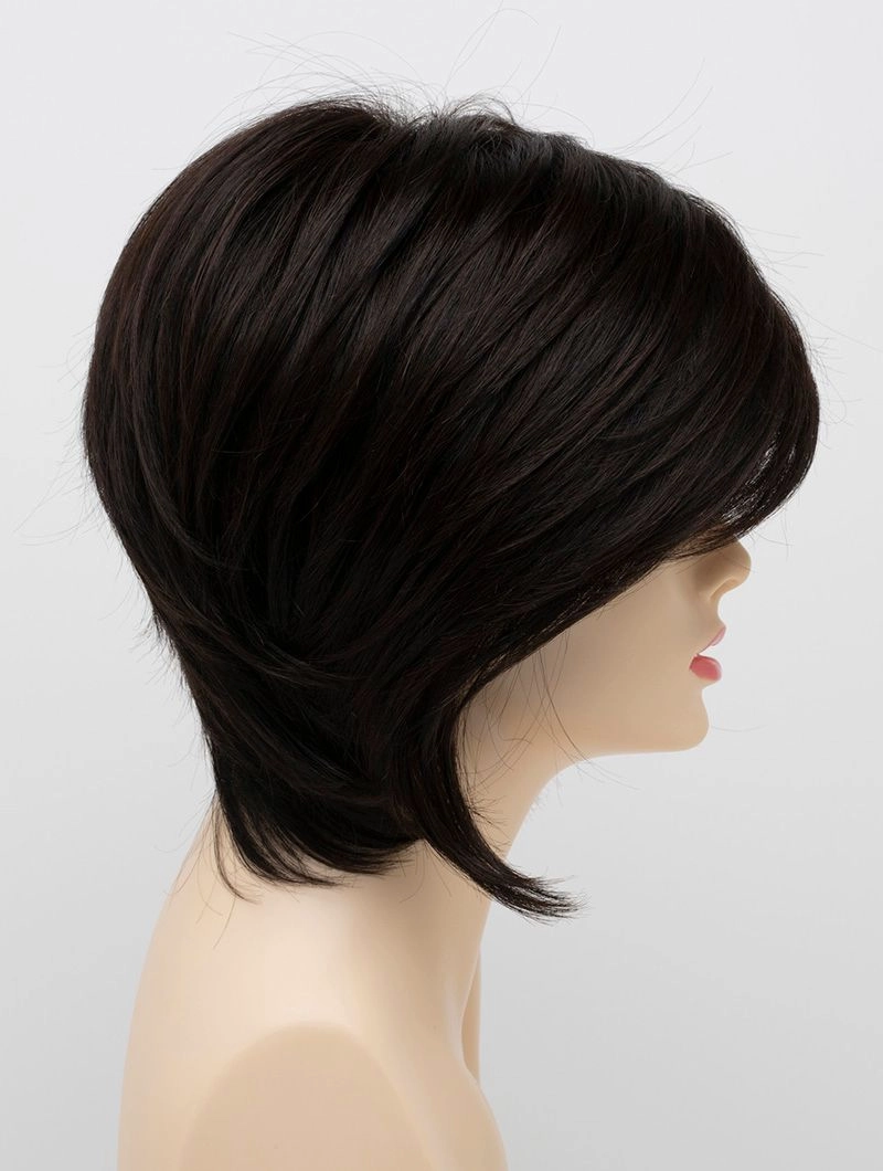 Accessories_Envy_Wigs Whitney Envy Wigs