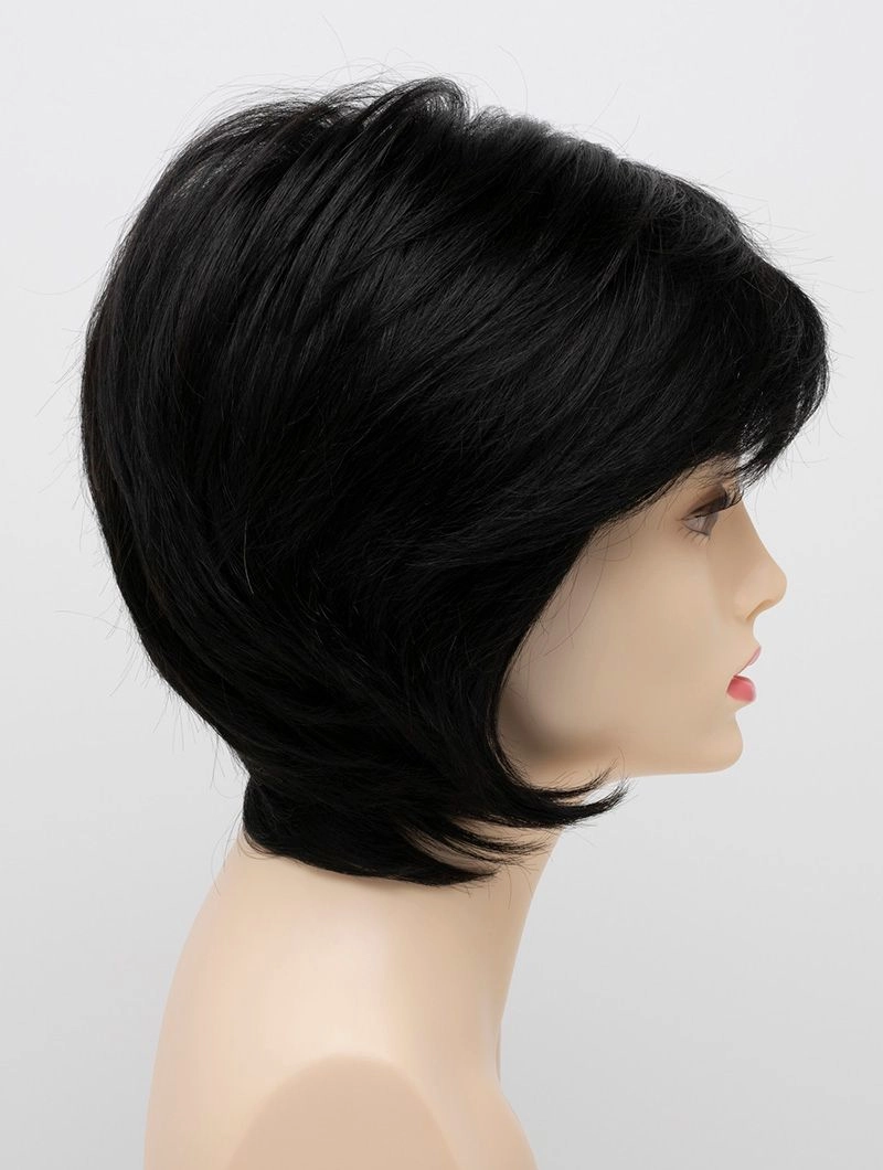 Accessories_Envy_Wigs Whitney Envy Wigs