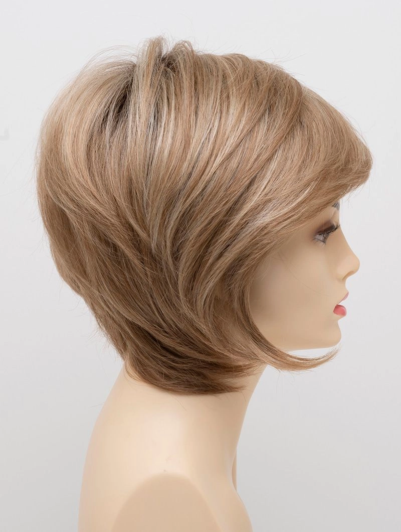 Accessories_Envy_Wigs Whitney Envy Wigs