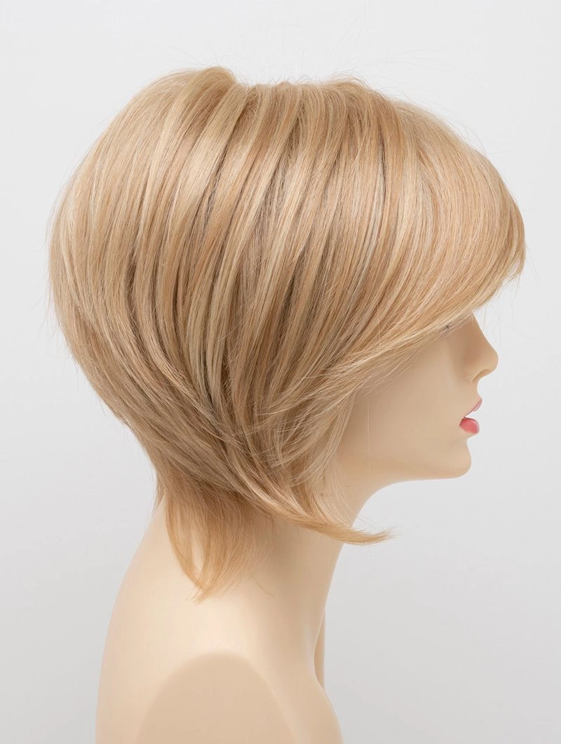 Accessories_Envy_Wigs Whitney Envy Wigs