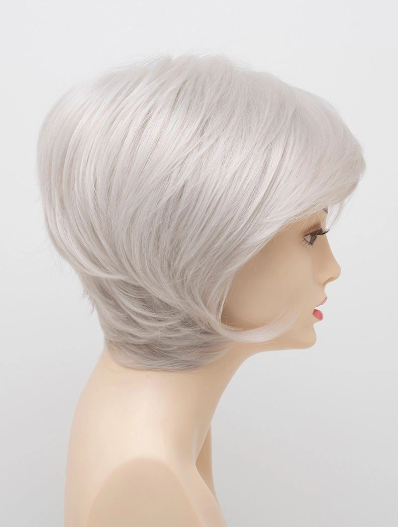 Accessories_Envy_Wigs Whitney Envy Wigs