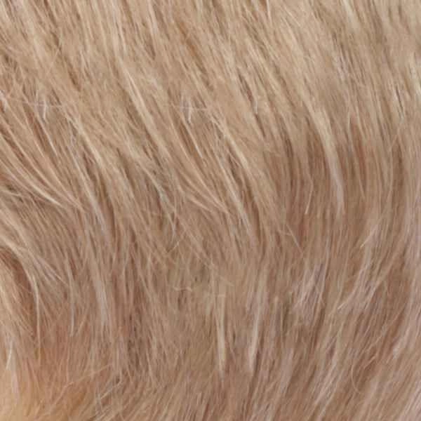 Accessories_Estetica_Wigs Christa Wig by Estetica Designs | Synthetic (Traditional Cap)