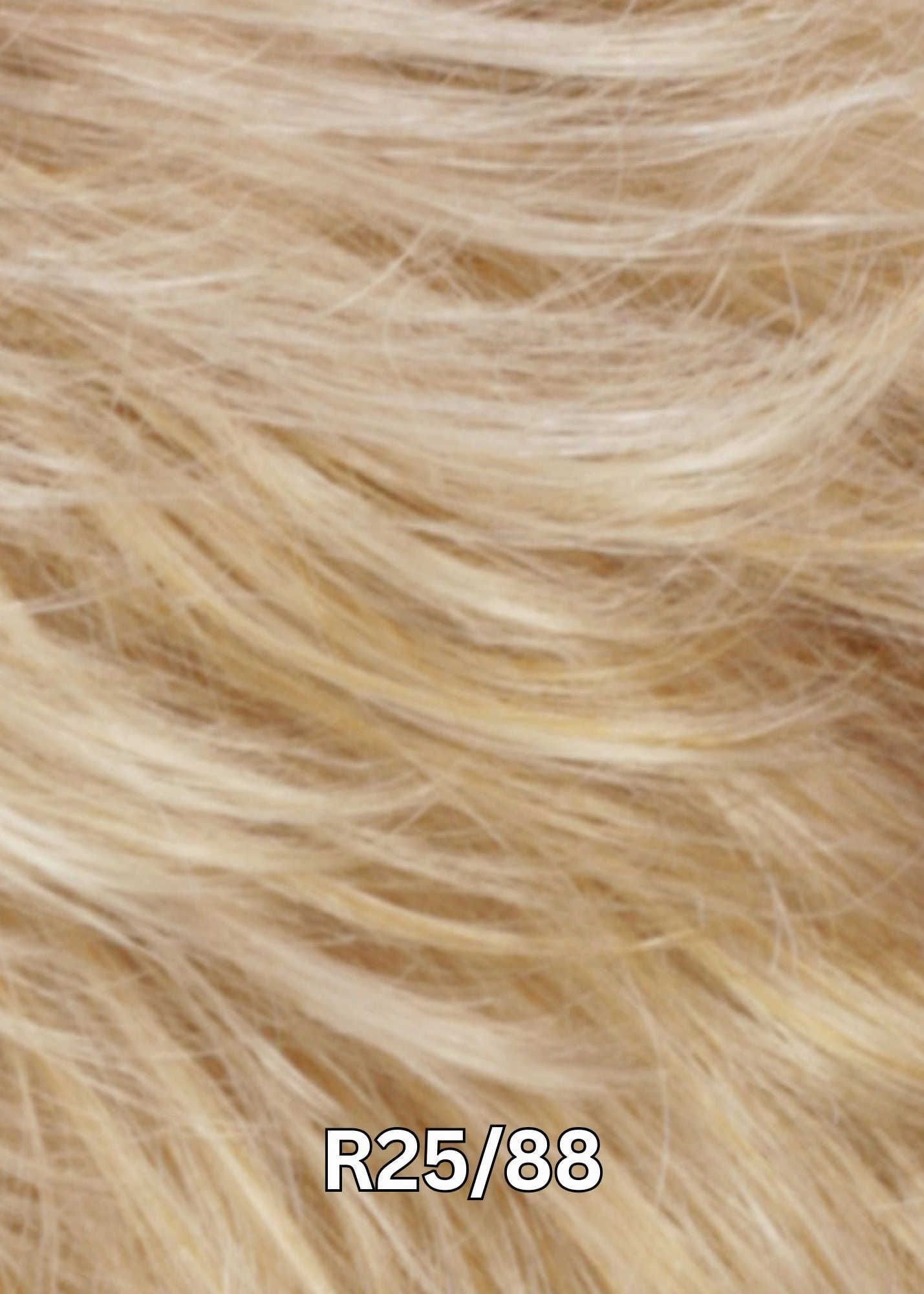 Accessories_Estetica_Wigs DEVIN