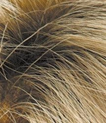 Accessories_Estetica_Wigs Mellow Wig by Estetica Designs | Synthetic (Lace Front)