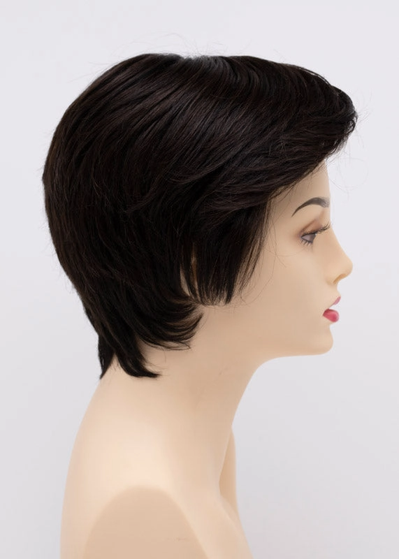 Accessories_Estetica_Wigs Paula Wig by Envy | Human Hair/Heat Friendly Synthetic Blend Hair | Average Cap