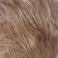 Accessories_Estetica_Wigs Perry Wig by Estetica Designs | Synthetic (Lace Front)