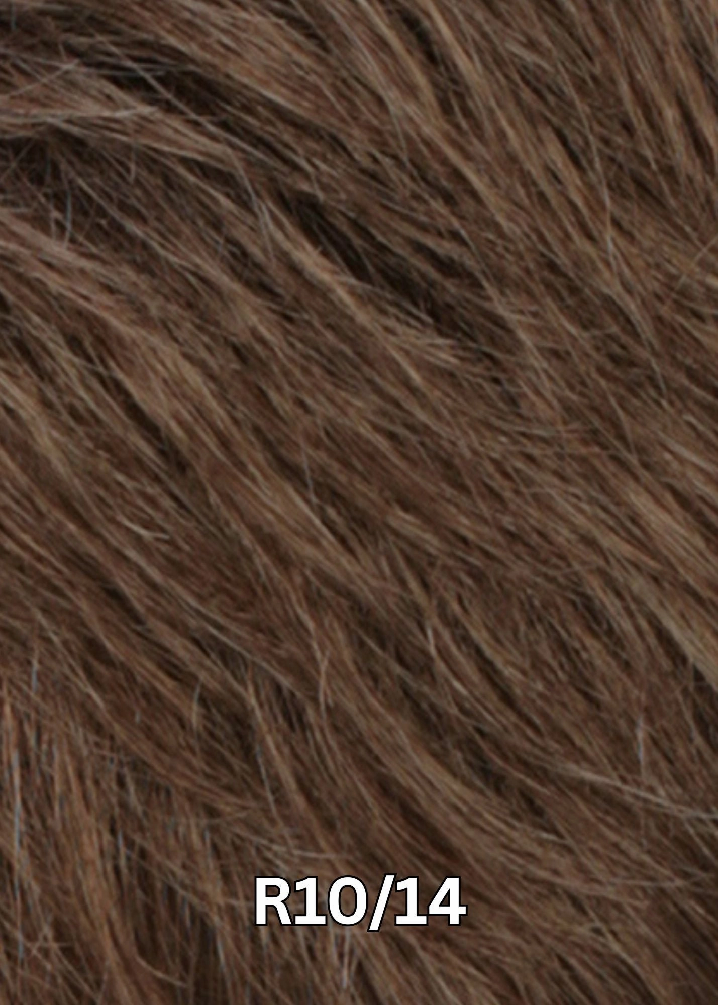Accessories_Estetica_Wigs PETITE CHARM - OPEN BOX