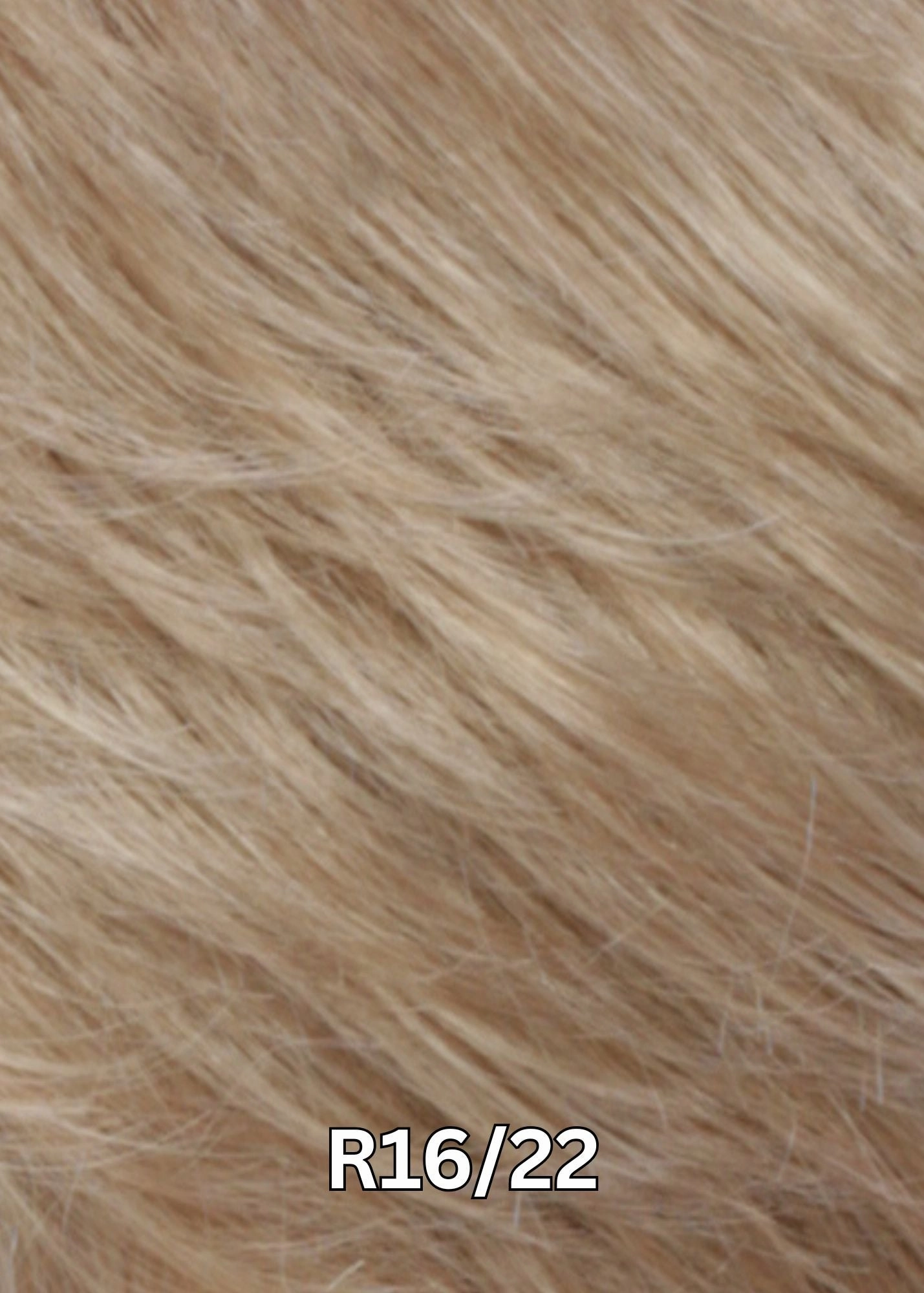 Accessories_Estetica_Wigs PETITE CHARM - OPEN BOX
