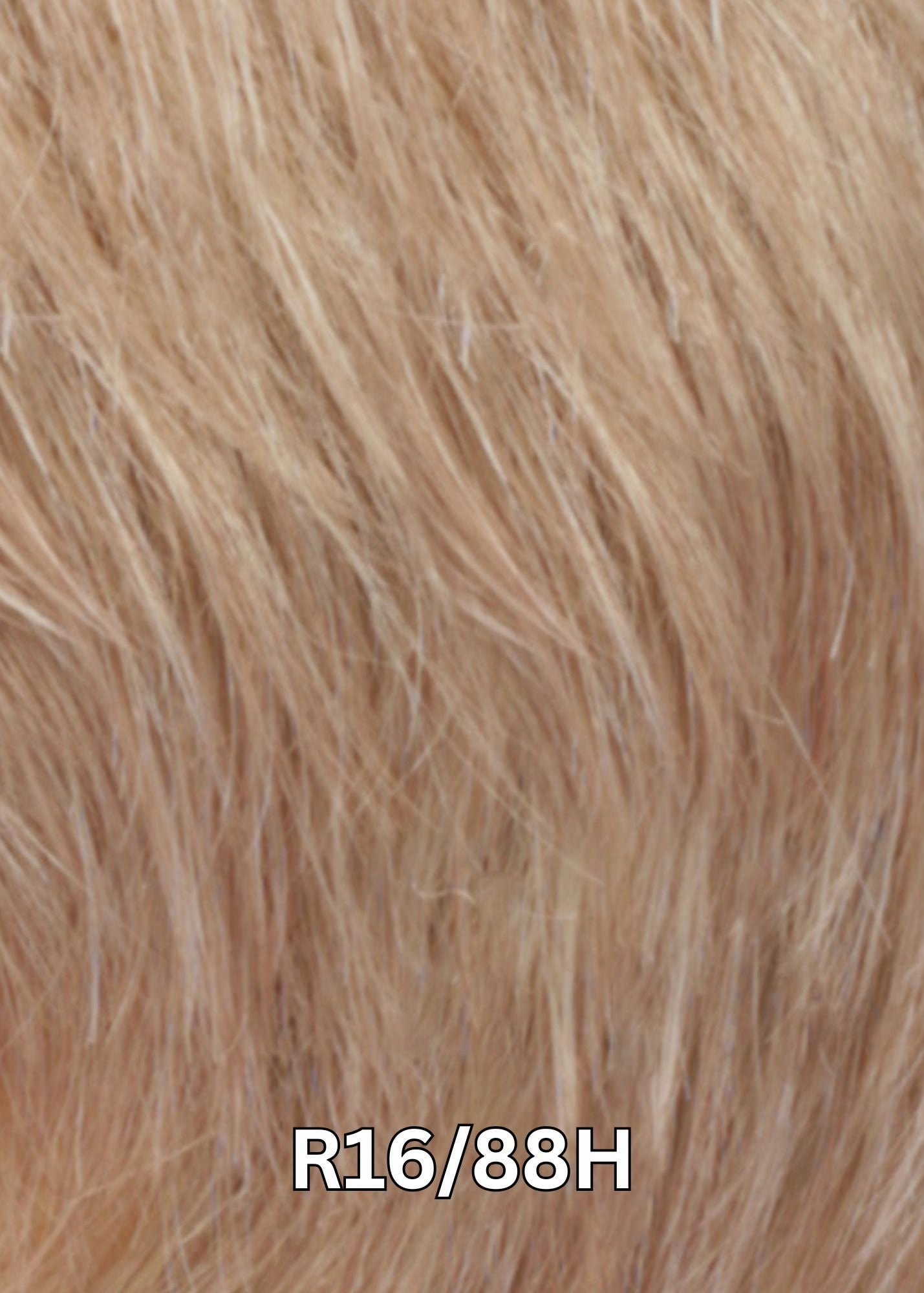 Accessories_Estetica_Wigs PETITE VALERIE