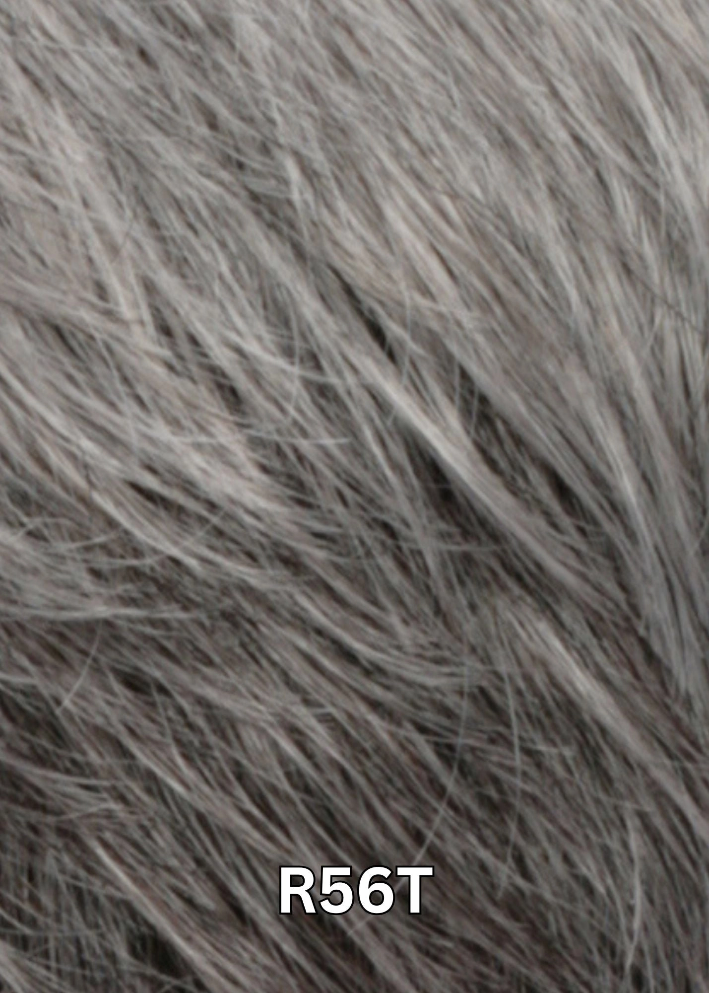 Accessories_Estetica_Wigs PETITE VALERIE