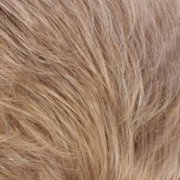 Accessories_Estetica_Wigs Ponytail Spring Clip by Estetica - FINAL SALE (Non-Returnable/Non-Exchangeable)