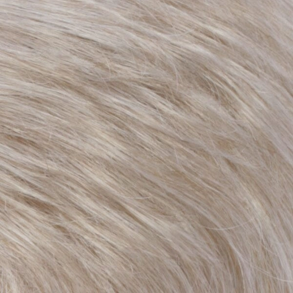Accessories_Estetica_Wigs Ponytail Spring Clip by Estetica - FINAL SALE (Non-Returnable/Non-Exchangeable)