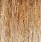 Accessories_Gabor_Wigs Falling For You Wig by Gabor | Synthetic Lace Front (Basic Cap)