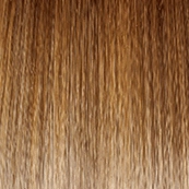 Accessories_Gabor_Wigs Falling For You Wig by Gabor | Synthetic Lace Front (Basic Cap)