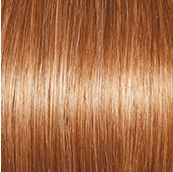 Accessories_Gabor_Wigs Incentive Wig by Gabor | Synthetic (Hand-Tied)