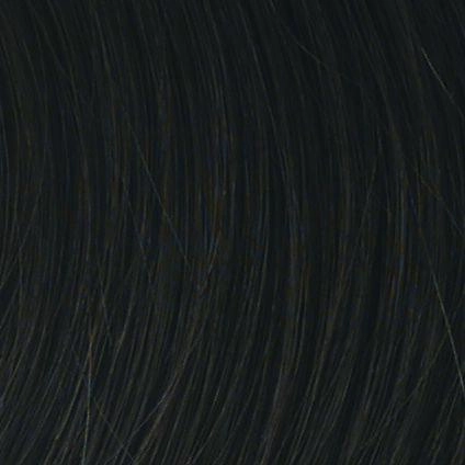 Accessories_Hairdo_Wigs 12" 2Pc Extension Hairpiece by Hairdo | Synthetic (Wefted)