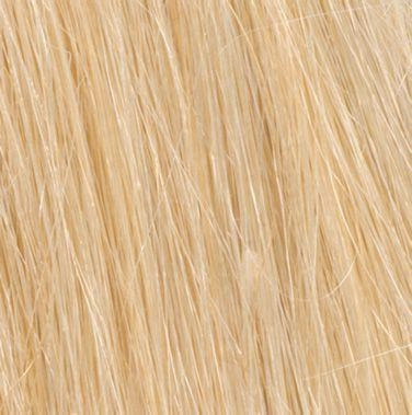 Accessories_Hairdo_Wigs 16" Remy Human Hair 5pc Extension Kit Hairpiece by Hairdo | Clip-In | Clearance Sale Open Box (Unworn - Like New)