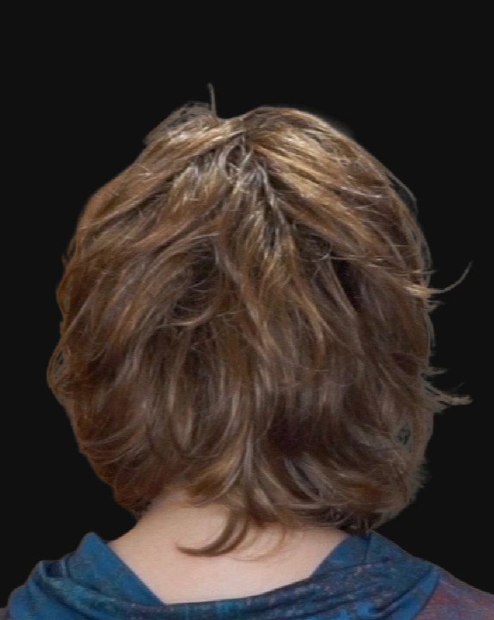 Accessories_Hairdo_Wigs Debutante Wig by Gabor | Synthetic Hair | Average Cap
