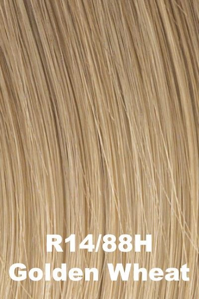 Accessories_Hairdo_Wigs Hairdo Wigs Extensions - 16" Hair Extension (#HX16EX)