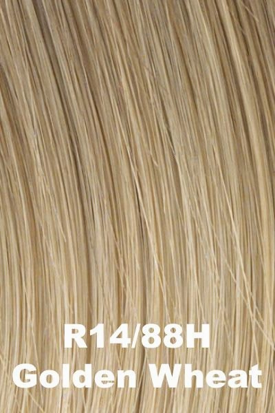Accessories_Hairdo_Wigs Hairdo Wigs Extensions - 20 Inch 10 Piece Human Hair Extension Kit (#HD20HH)