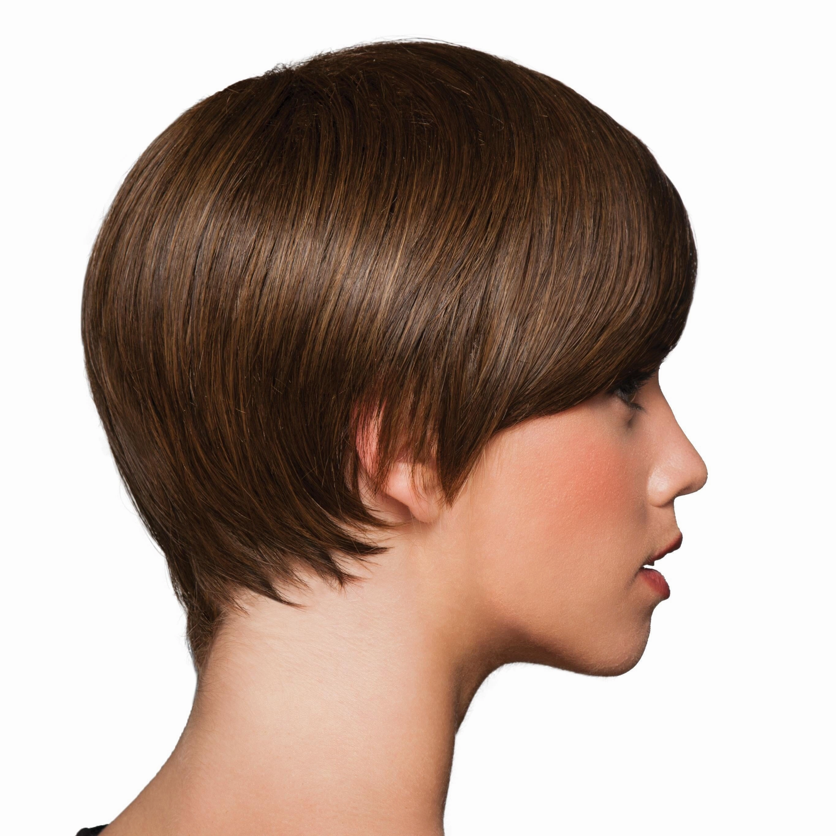 Accessories_Hairdo_Wigs Short & Sleek Synthetic Wig by Hairdo