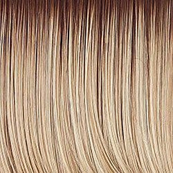 Accessories_Hairdo_Wigs Sleek For The Week Wig by Hairdo | Synthetic (Lace Front)