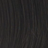 Accessories_Hairdo_Wigs Top of Head Topper by Hairdo - Final Sale, No Refunds or Exchanges
