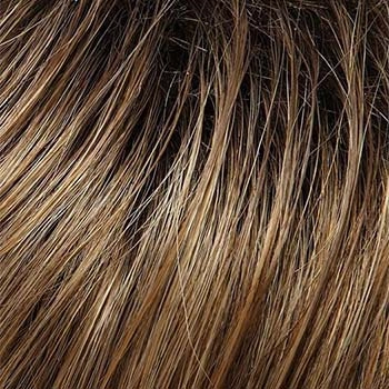 Accessories_Jon Renau_Wigs Allure Large