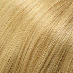 Accessories_Jon Renau_Wigs Carrie Wig by Jon Renau | Remy Human Hair - Lace Front Mono Top - Renau Colors