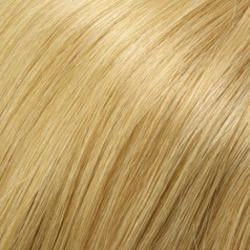Accessories_Jon Renau_Wigs Carrie Wig by Jon Renau | Remy Human Hair - Lace Front Mono Top - Renau Colors