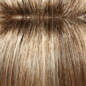 Accessories_Jon Renau_Wigs Carrie Wig by Jon Renau | Remy Human Hair - Lace Front Mono Top - Renau Colors