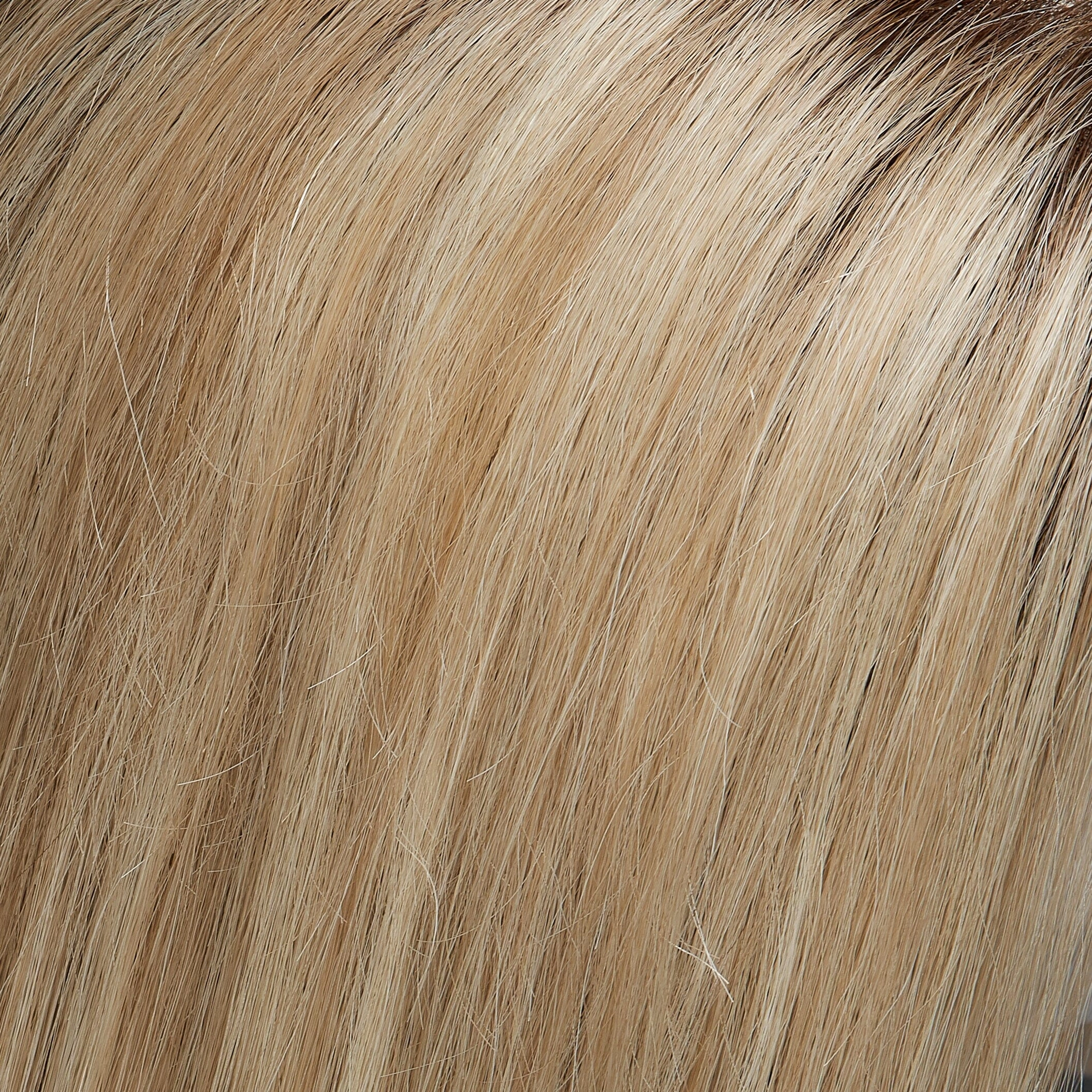 Accessories_Jon Renau_Wigs easiPart HH XL 18" Remy Human Hair Topper (Mono Top) by Jon Renau | easiHair